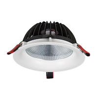 Pro.Lighting Recessed Downlight COB Led Down Light with IP44 Rating 50W 10029N