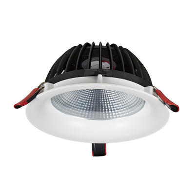 Pro.Lighting Recessed Downlight COB Led Down Light with IP44 Rating 50W 10029N