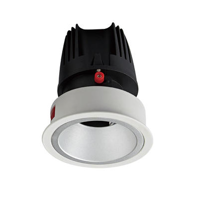 Pro.Lighting Newly Launched Round Trim Downlight Cob Led Down Light Wall Washer Light 30W DL8005