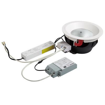 Pro.Lighting Microwave Sensor&Emergency Downlight 30W DL4026