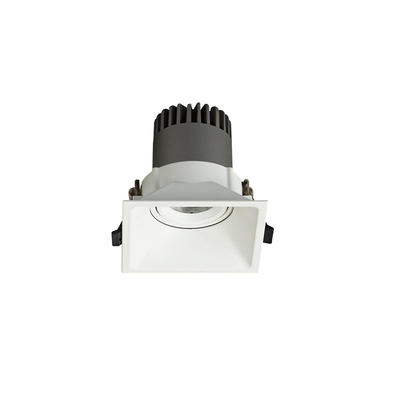 Pro.Lighting Led Modular Spot Downlight 15W DL9015 R5
