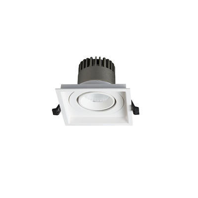 Pro.Lighting Led Modular Spot Downlight 10W DL9010 R17