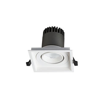 Pro.Lighting Led Modular Spot Downlight 15W DL9015 R17