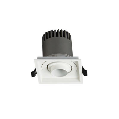Pro.Lighting Led Modular Spot Downlight 15W DL9015 R19