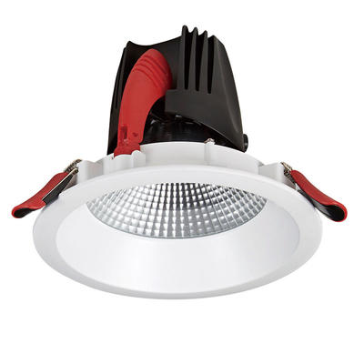 Pro.Lighting Anti-glare Recessed Downlight Cob Led Down Light with Heat Sink Interchangeable 30W DL6006